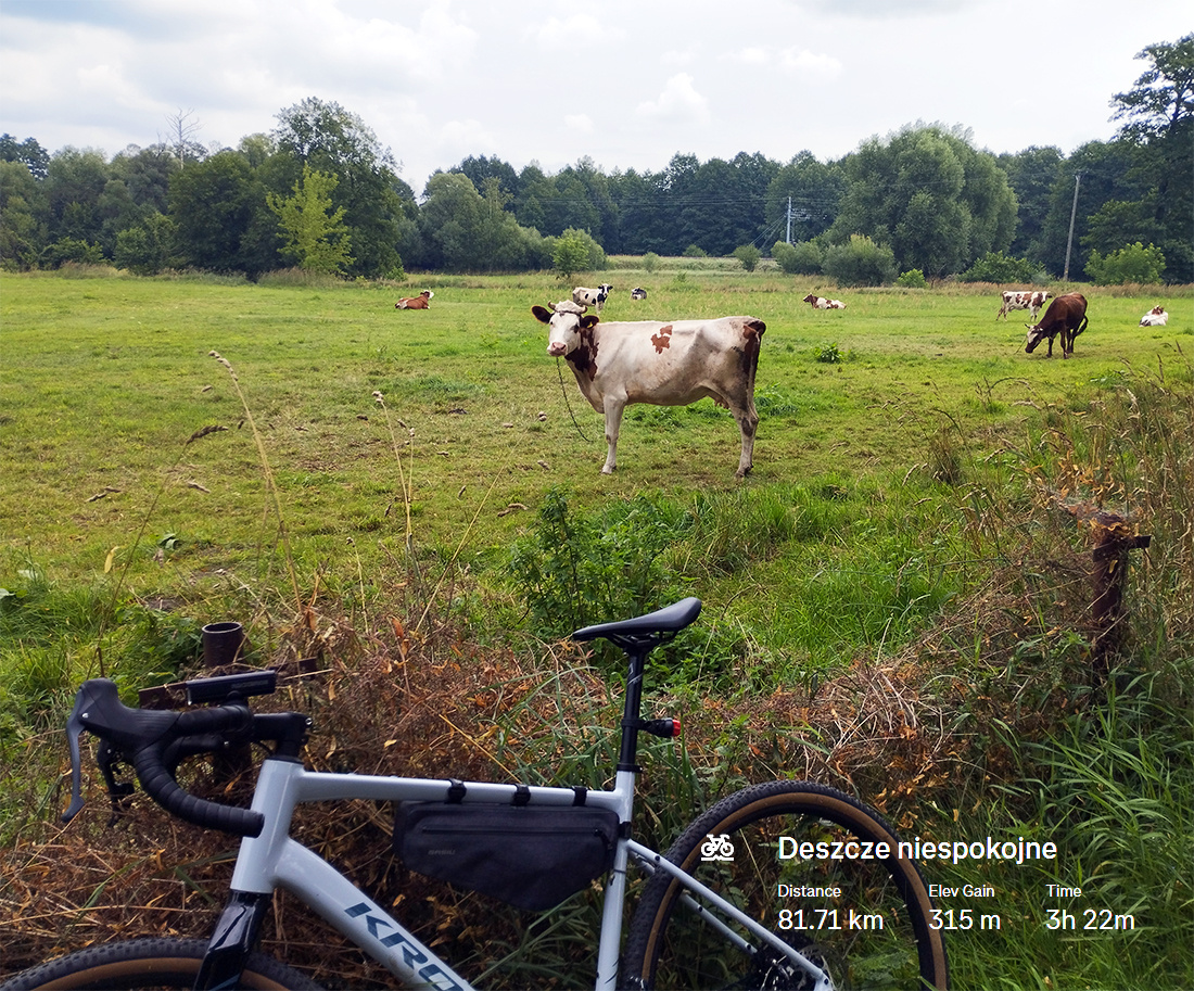 a9ac8354-9627-42a3-911b-21d73ca80b88