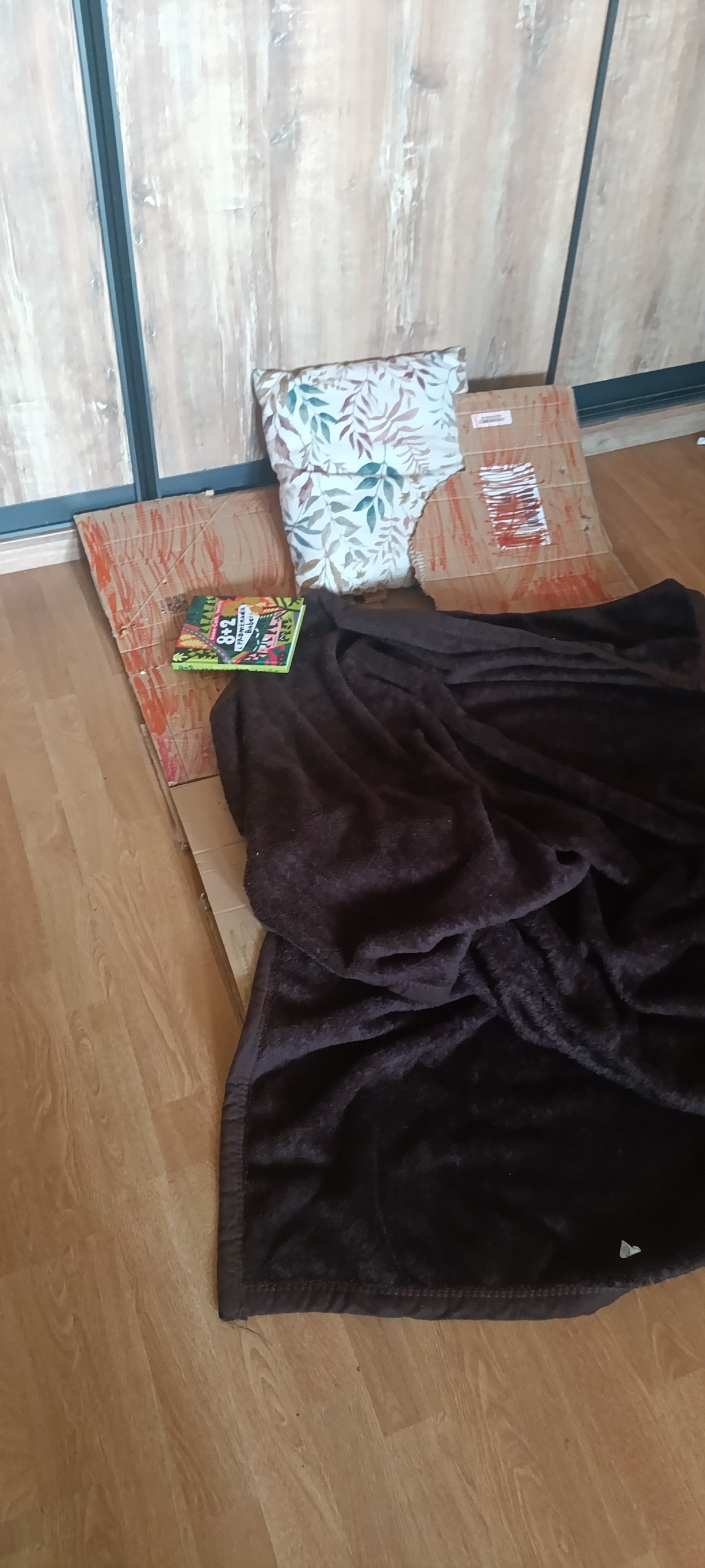 57737d16-ae3b-41ec-bc29-8841f5209062