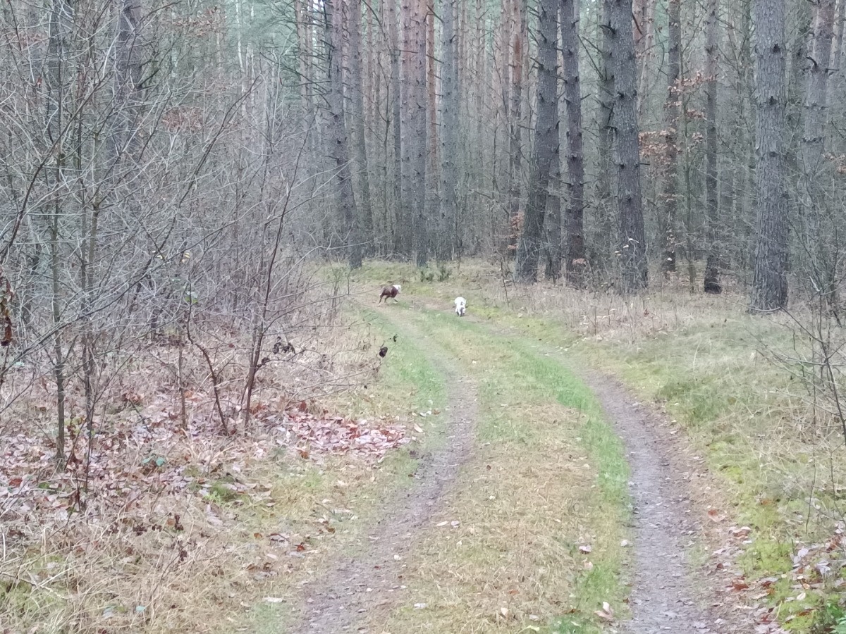 5d6d1d05-06e5-4330-8081-59f899f31c08