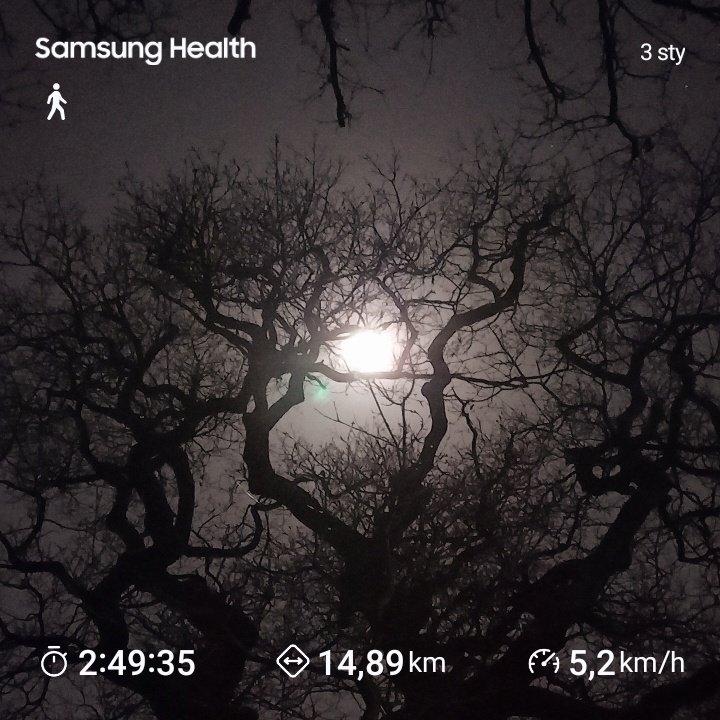 5db87d53-0e2f-41b6-b2ac-a0bedc0fdba9