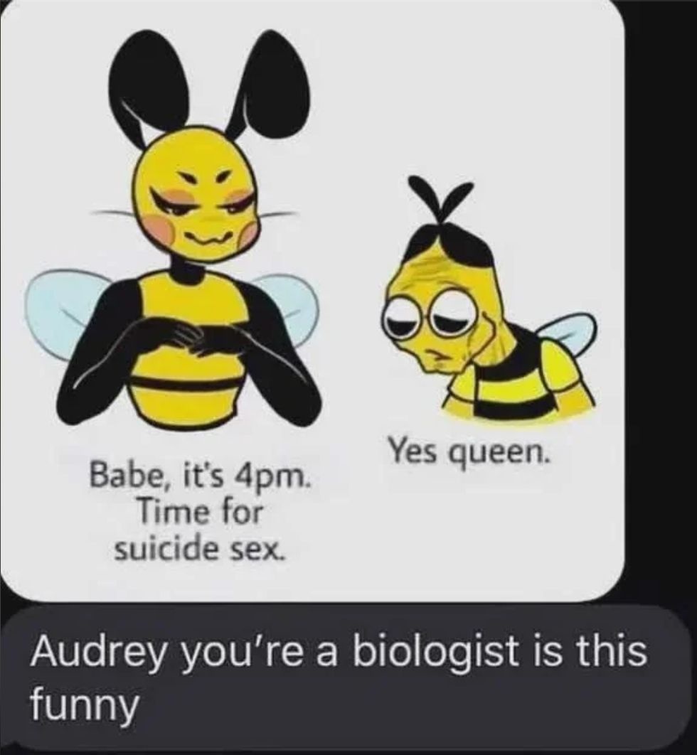 35352acb-8950-42a9-af71-58b4afabc439