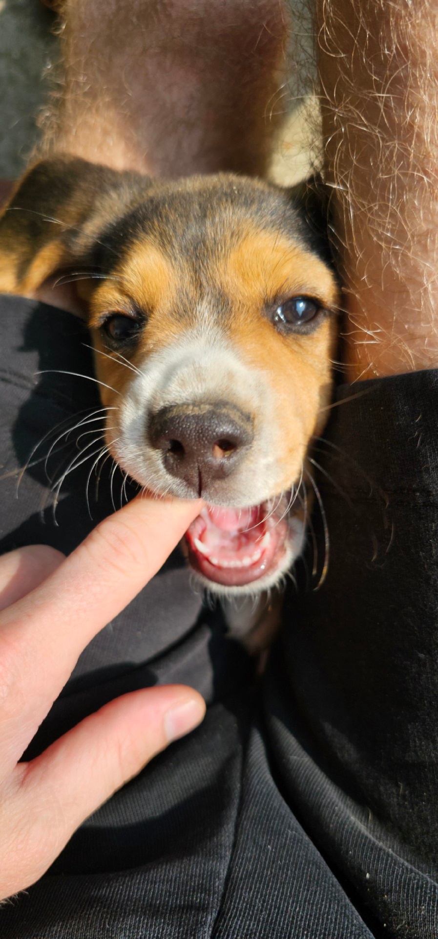 7329ec81-f15c-4a57-a122-b6e4e76367c3