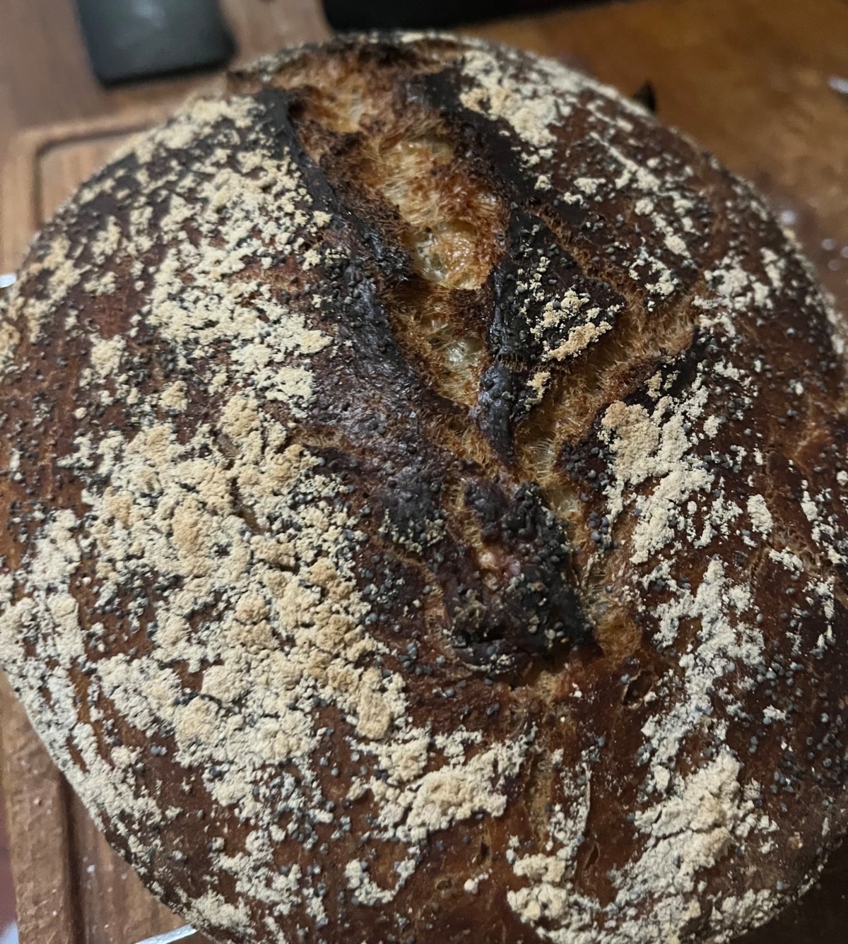 57a441a3-aa52-4743-8334-b9c781006894