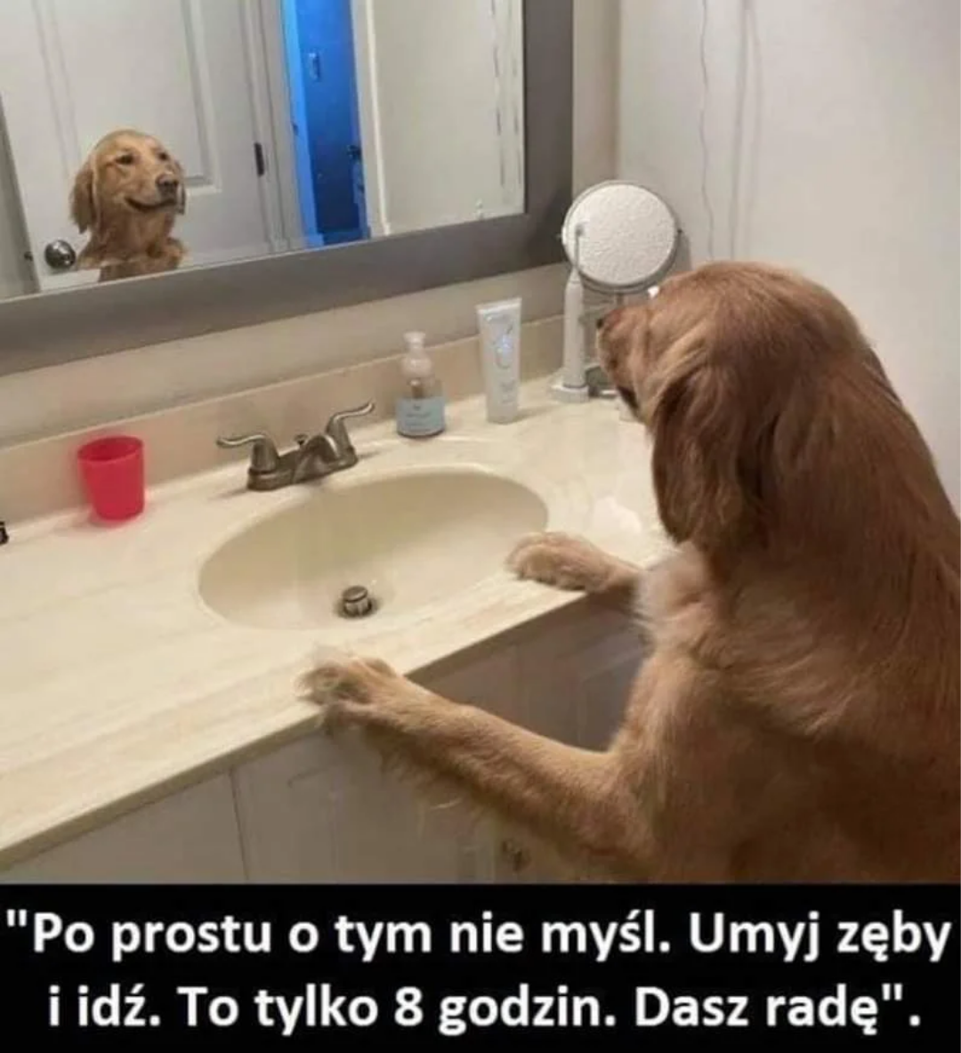 ee40d590-7f38-46da-bc2d-6013c3cd223a