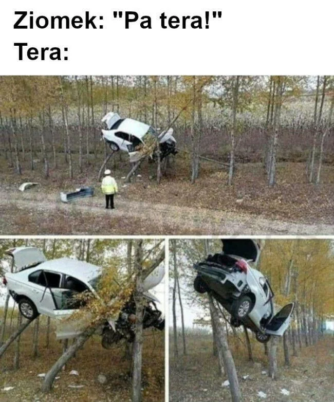 5eb40dad-e31a-4bb7-8380-5dd985e7274d