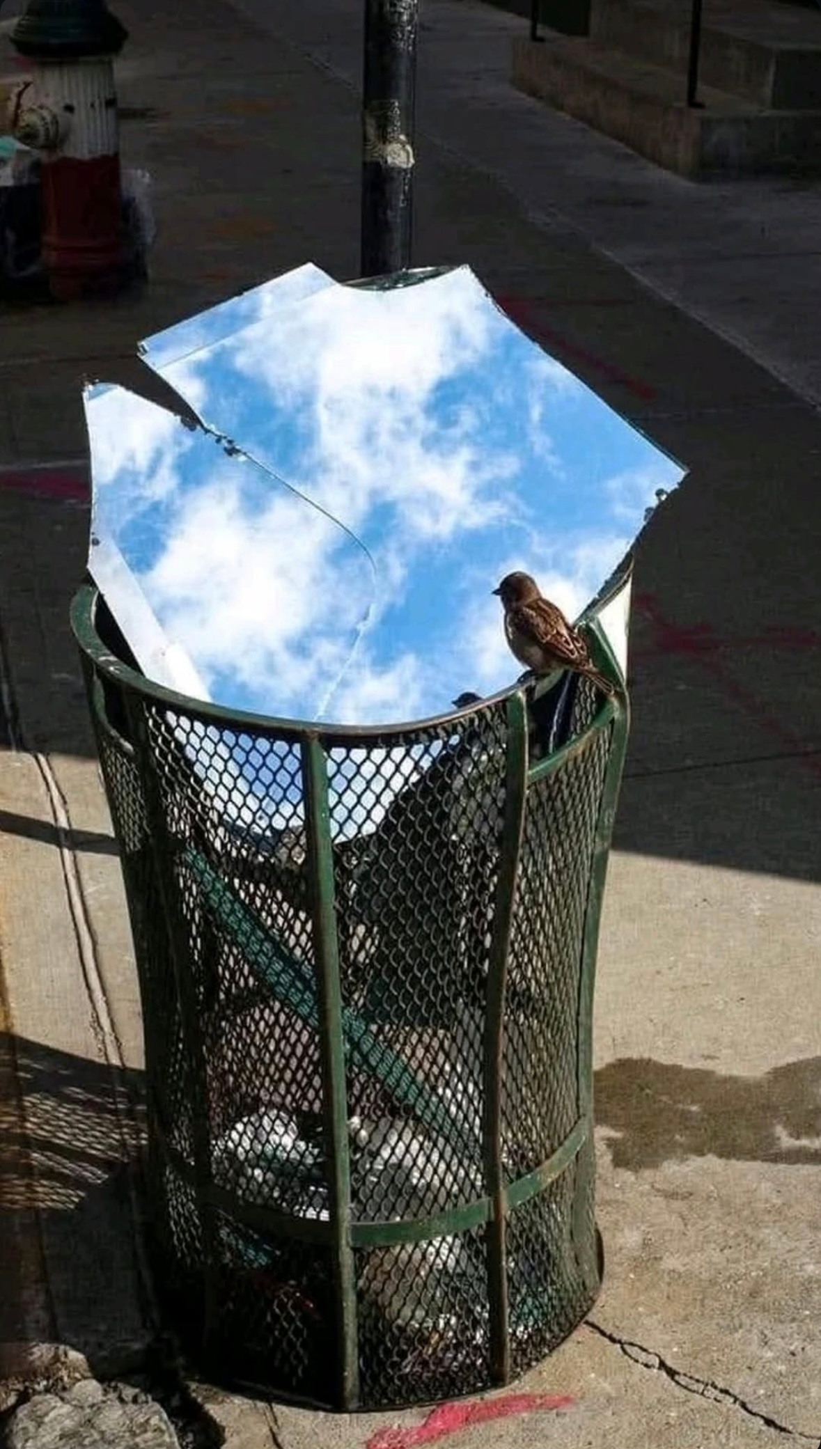 67e8538c-a4e2-41a2-81a4-ba20d1da090f