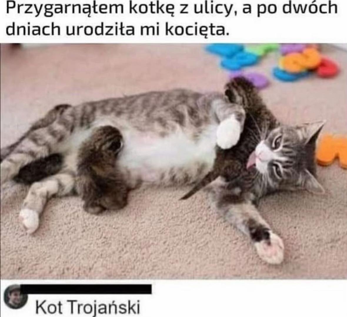 5b793f42-fedb-4b68-8189-4c1d805c48d2