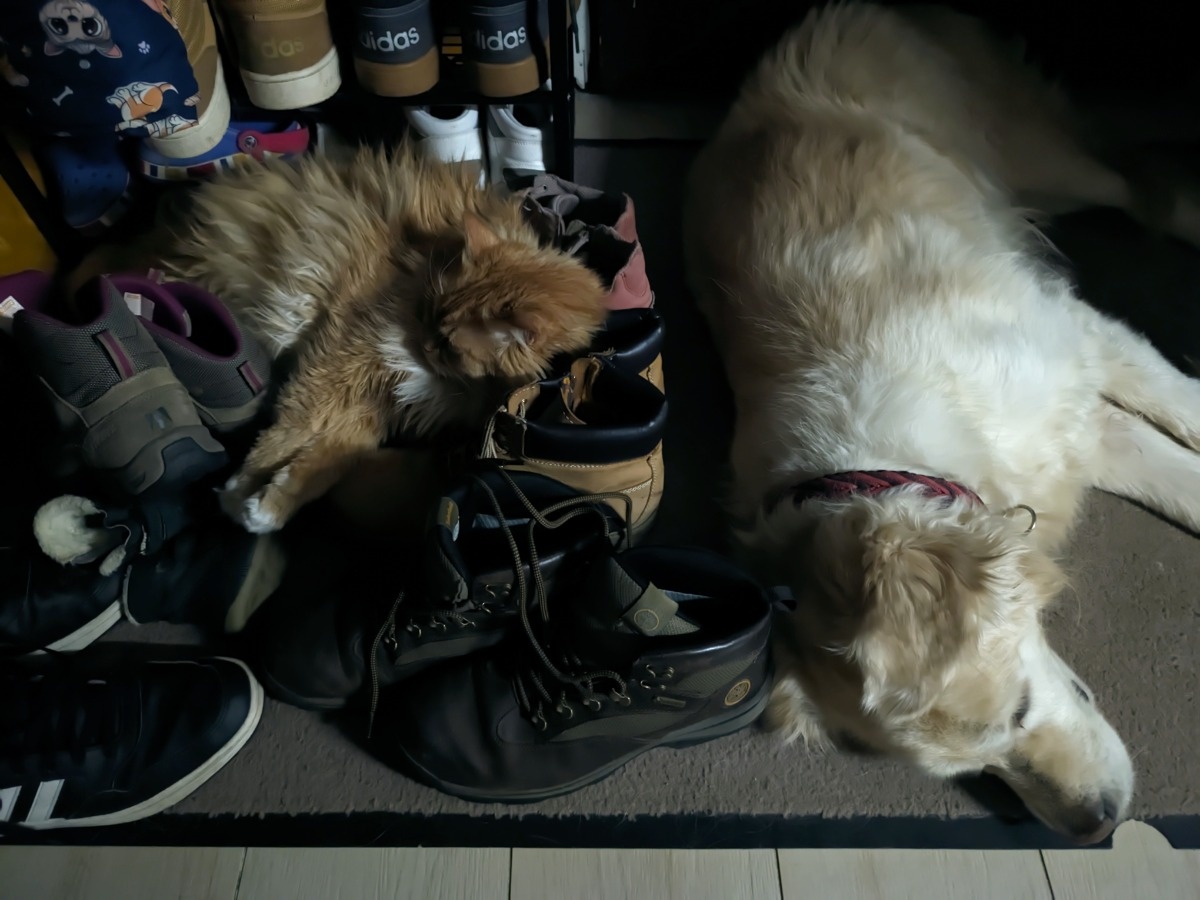 46cf2484-98f2-42bf-8cd3-cb19fec651b1