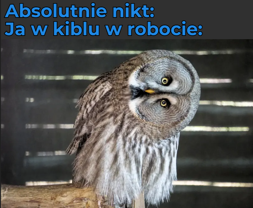 9f867a71-1da4-457c-97e1-e8e2bd7d1a23