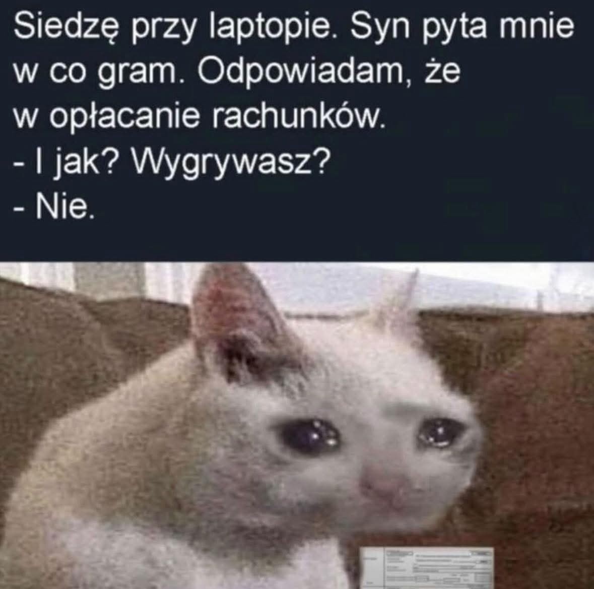 537fefd6-d9d2-4867-8dc3-c5b6eec79e3b