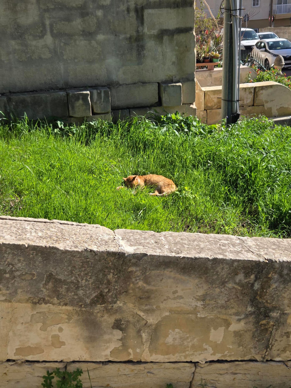 991f77a3-f928-41a5-84eb-ed9565cc3262