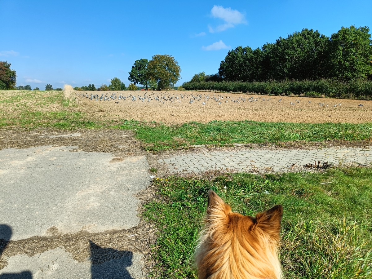 a5abccd1-b820-4694-bdaa-5a17aeff44ce