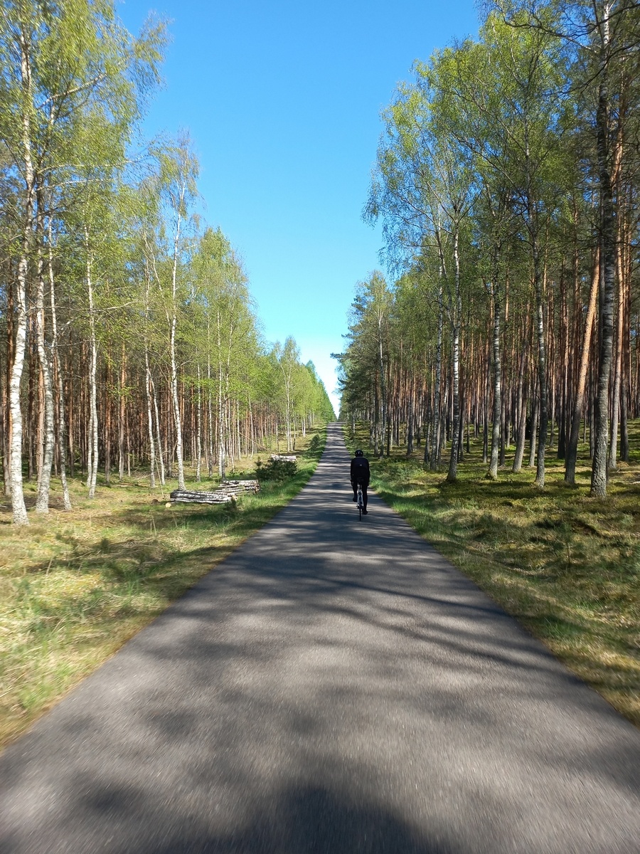 afd65485-b24d-44a9-b728-544b2a746c08