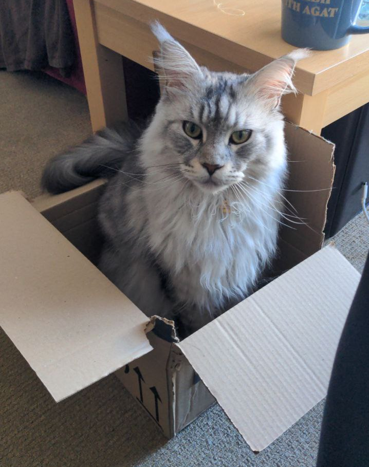 18e38f18-3cc7-4f72-801d-55f808f07b72