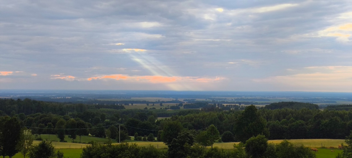 e79d6c59-f4f2-4f73-9b53-238cd53a6d1f