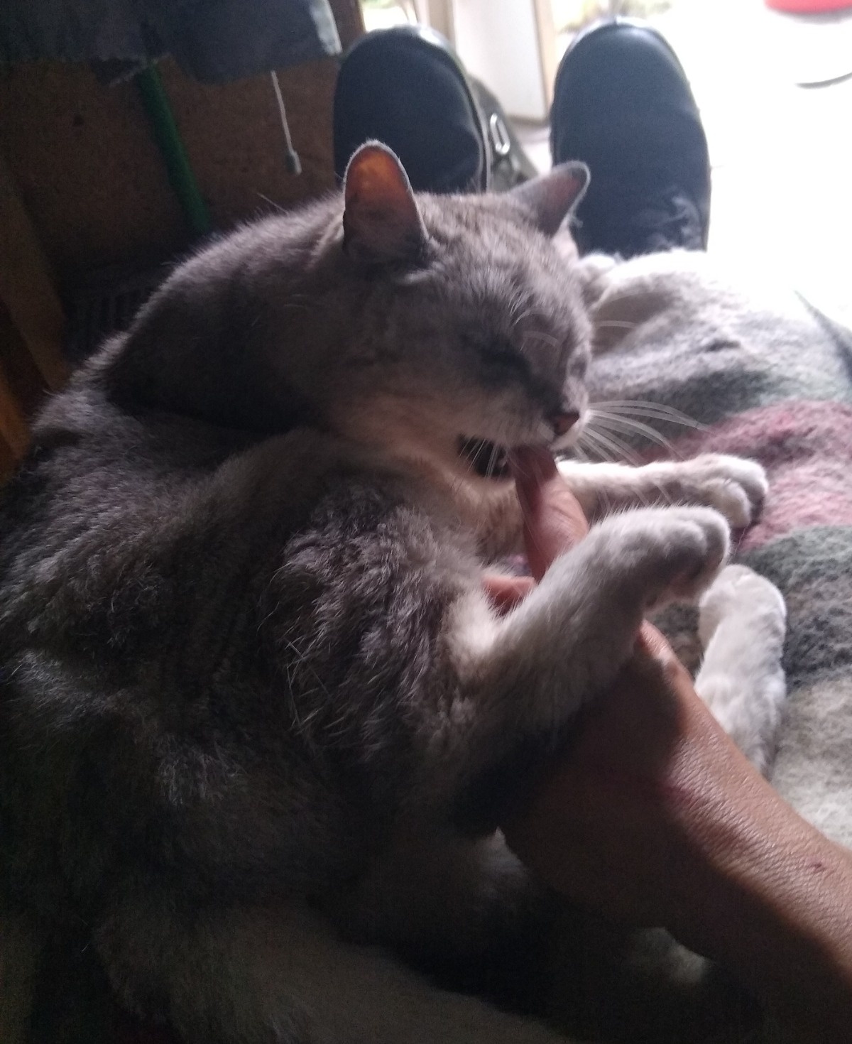 b02681f6-ac89-4afc-9222-9ea639287936