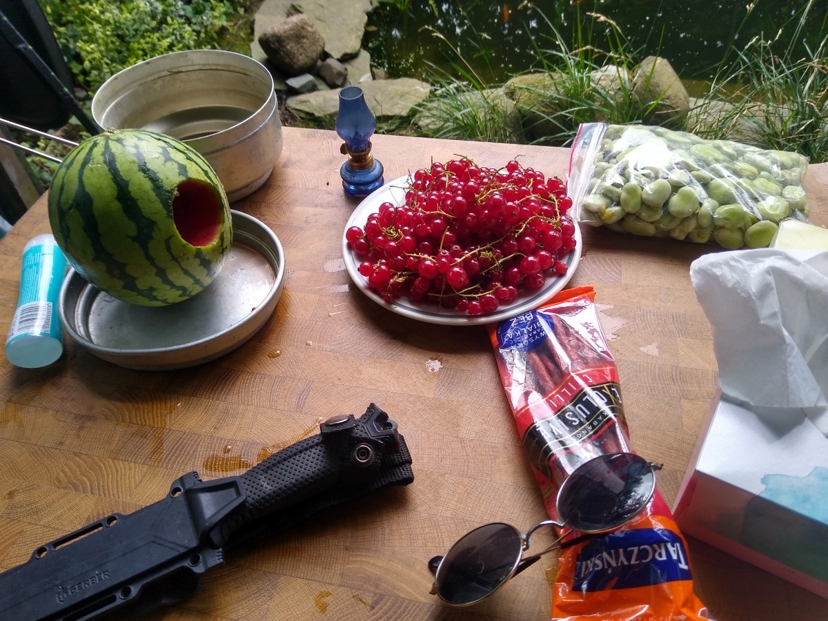 838b2906-e6bd-4712-989f-787274fbcd6b