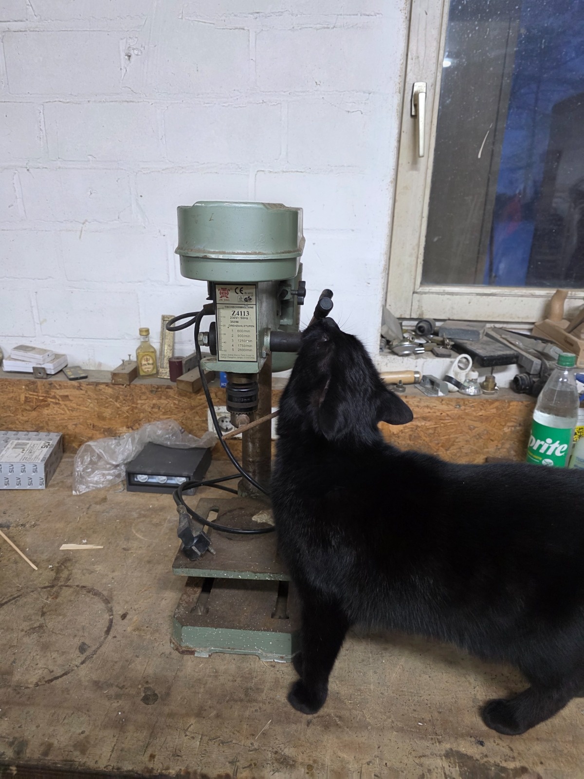 24075ffb-9a09-4ca0-85b8-22d1abe78806