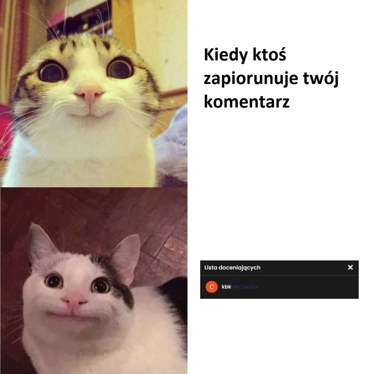 0bb62cc9-1d90-4b42-a283-5cb26ee6650e