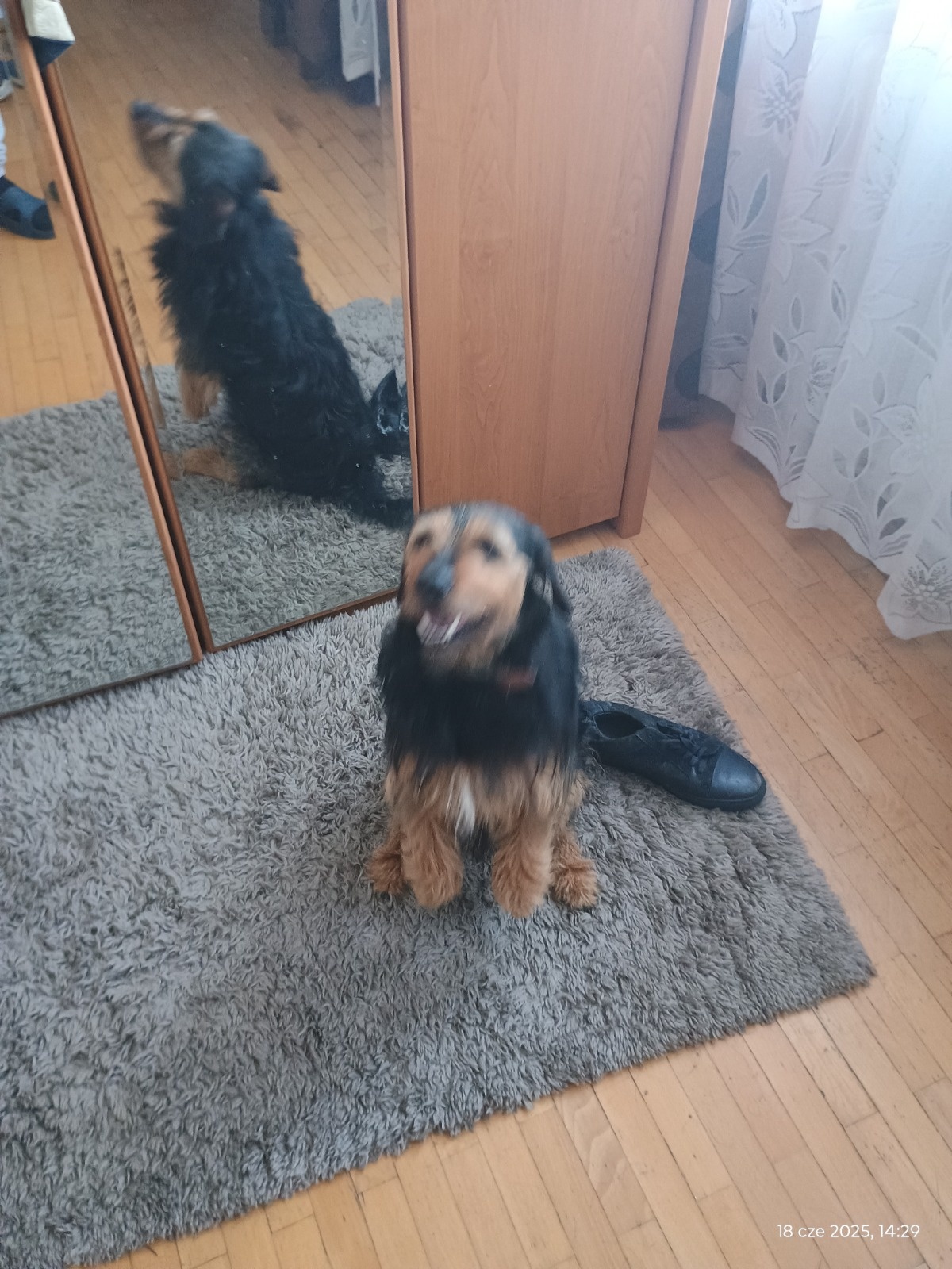 ada5a7d3-d477-4206-b259-a71ed3c8e887