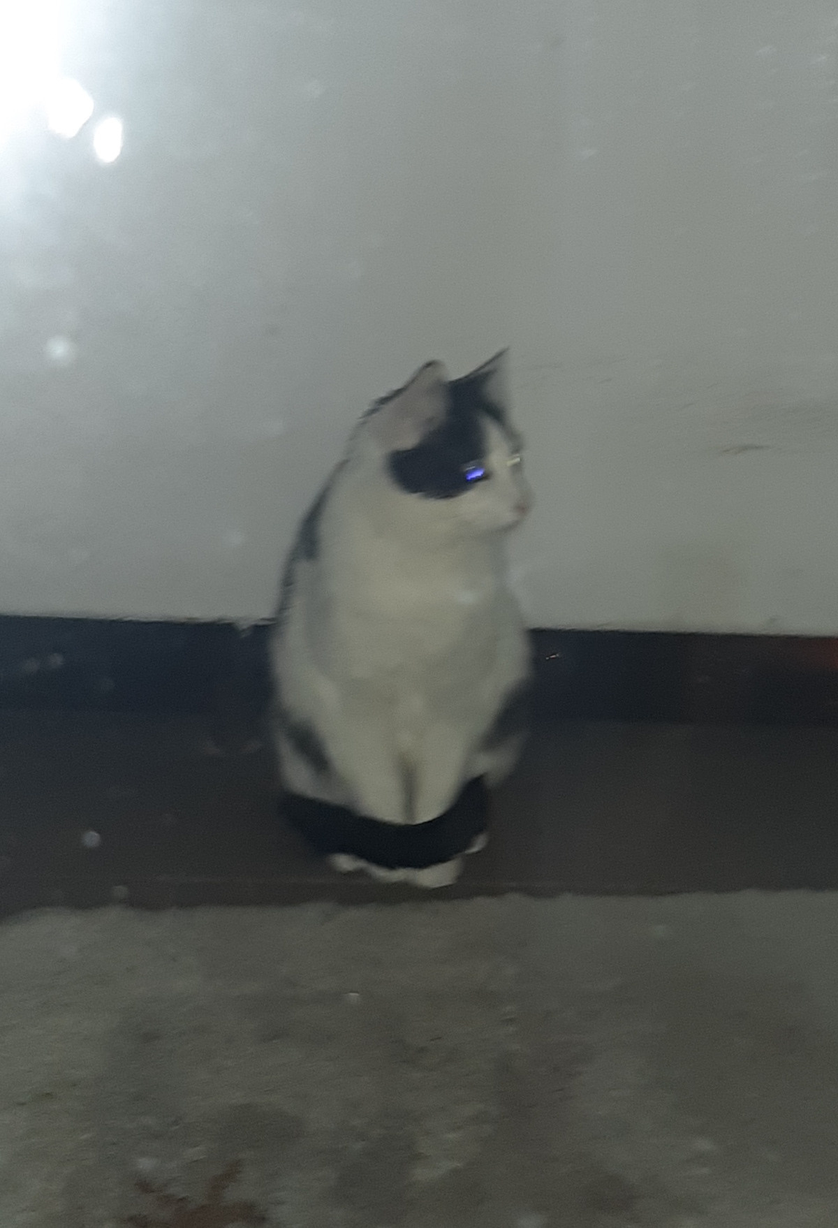 7badef86-3d36-4a0f-ac9c-75da278cb9c7