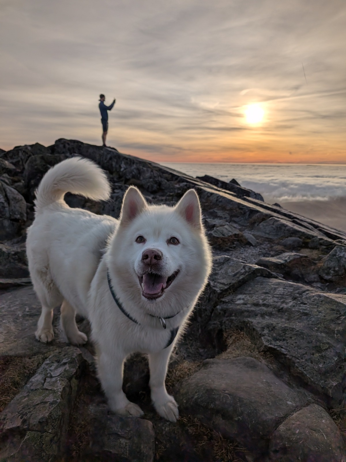 3d565294-0e8b-4789-8cef-bd08729f2649