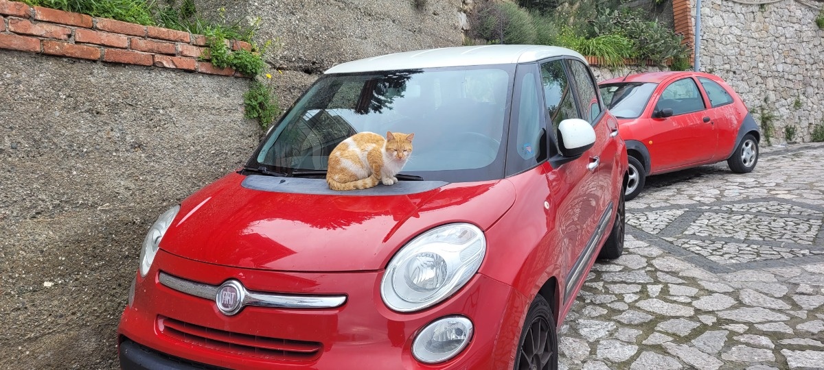 7805f8ab-fe97-4fce-86c7-8a97b5fa900c