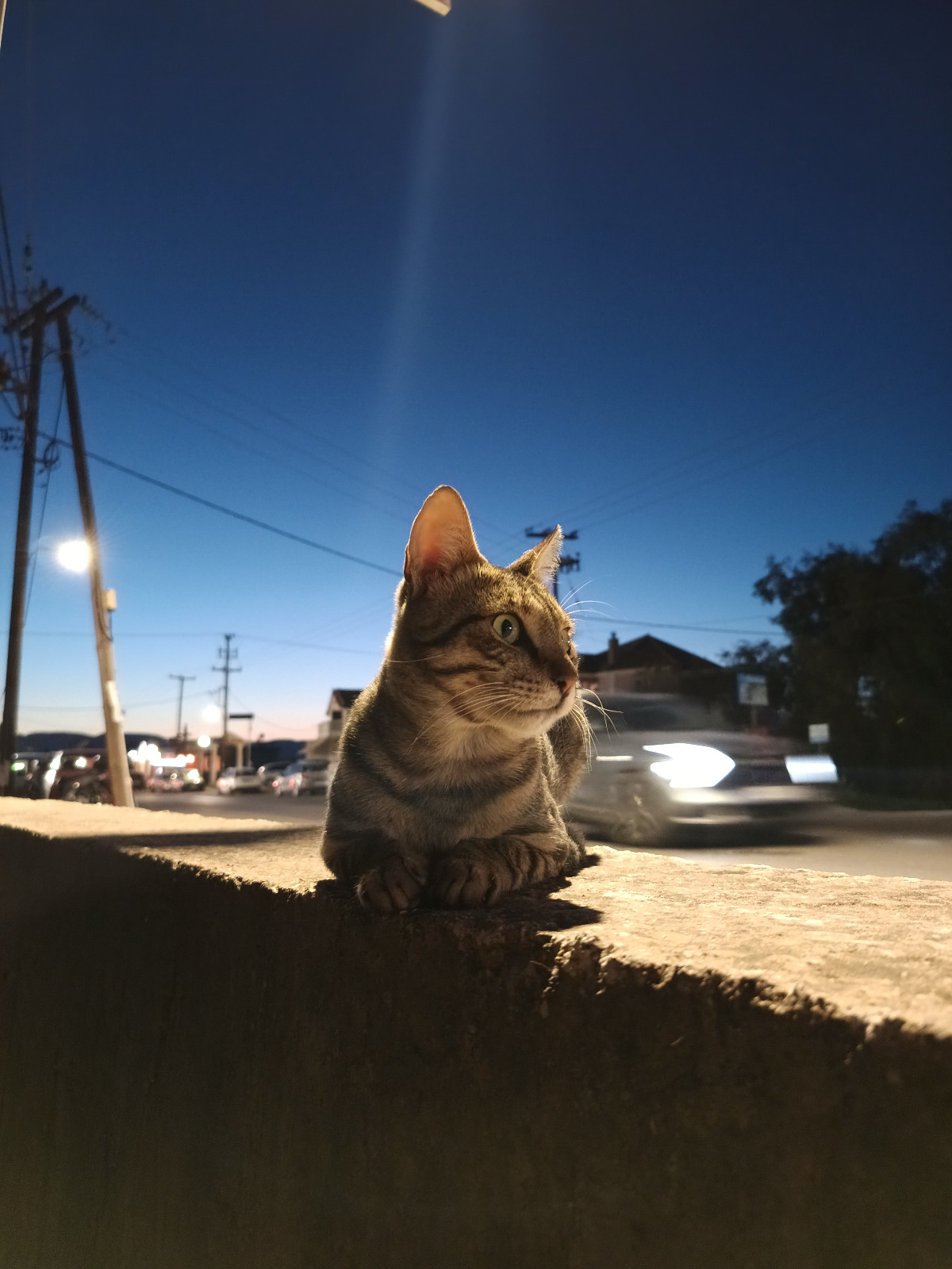 f6fc3308-7bb3-4161-bd1f-61f70337a2e8