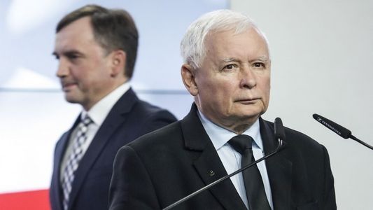 Dojna ojczyzna tłustych kotów