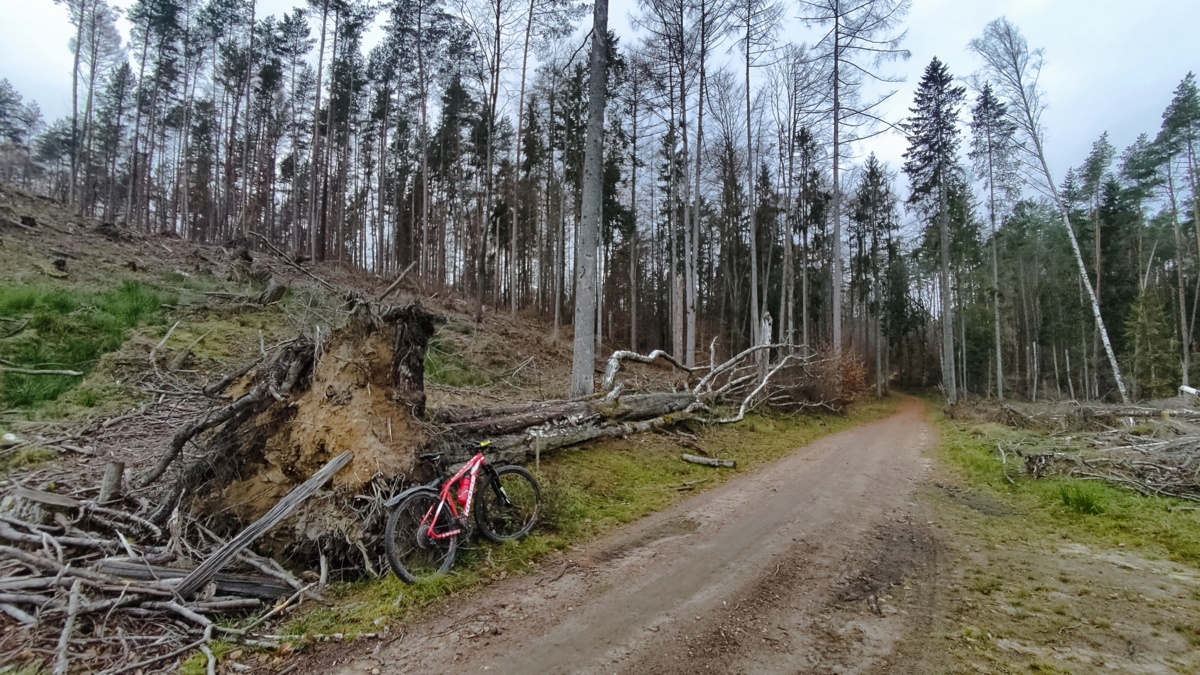 1c3fc05f-b17f-4293-9824-61a565e952ea