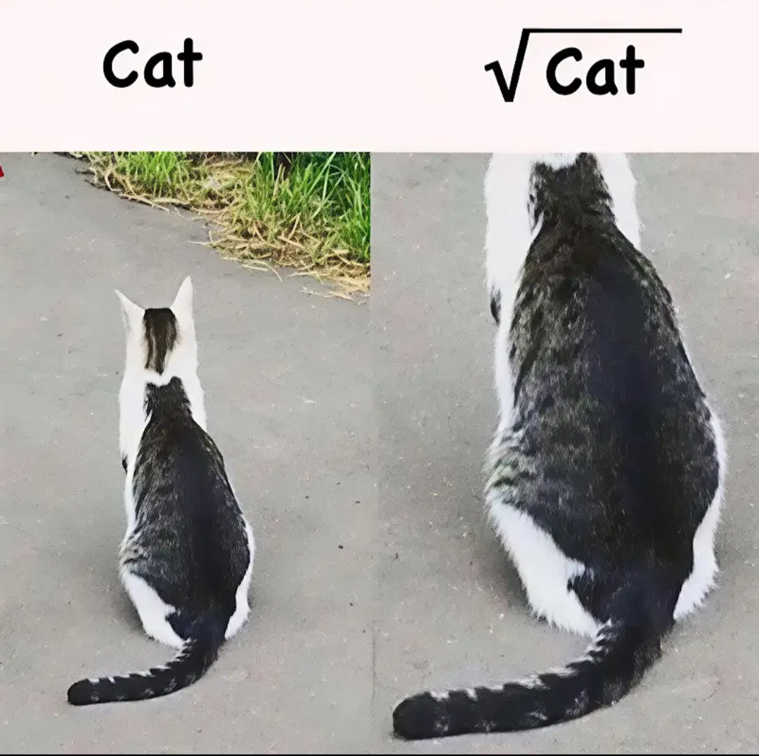 ce4a2be7-e063-4767-bdf1-dfd423e24c84