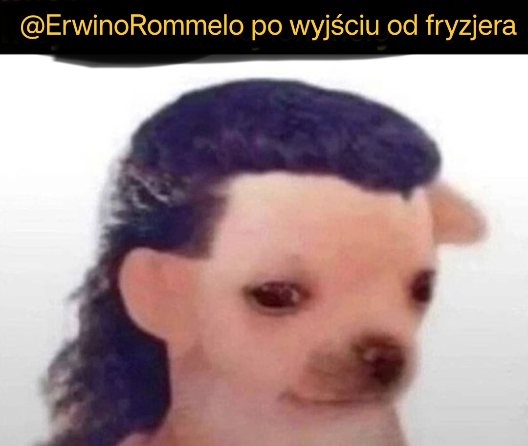 8b0a70fb-2275-417e-99e9-d43821522ad8