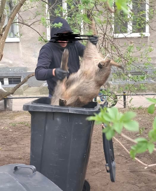 3a2c3d7f-e0f7-4e4e-a839-fffdb733bc2e