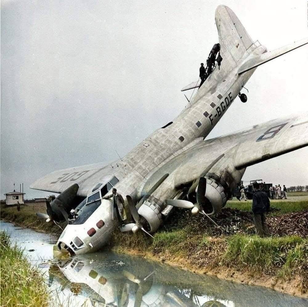 d39230a5-cdc1-4a03-9671-4ca377536a1c