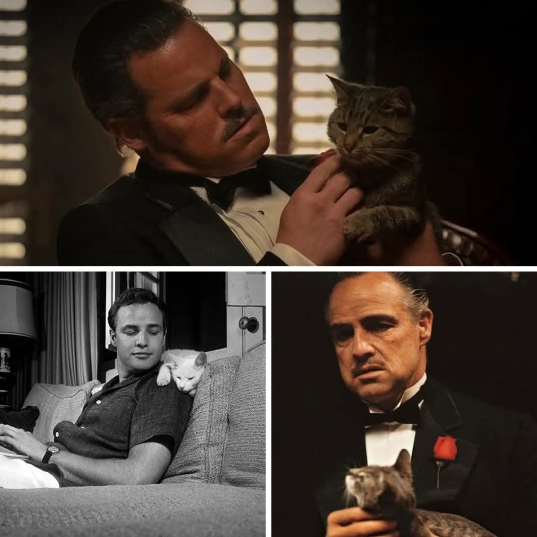 003f9180-6d52-495f-a088-18777cb0ff13