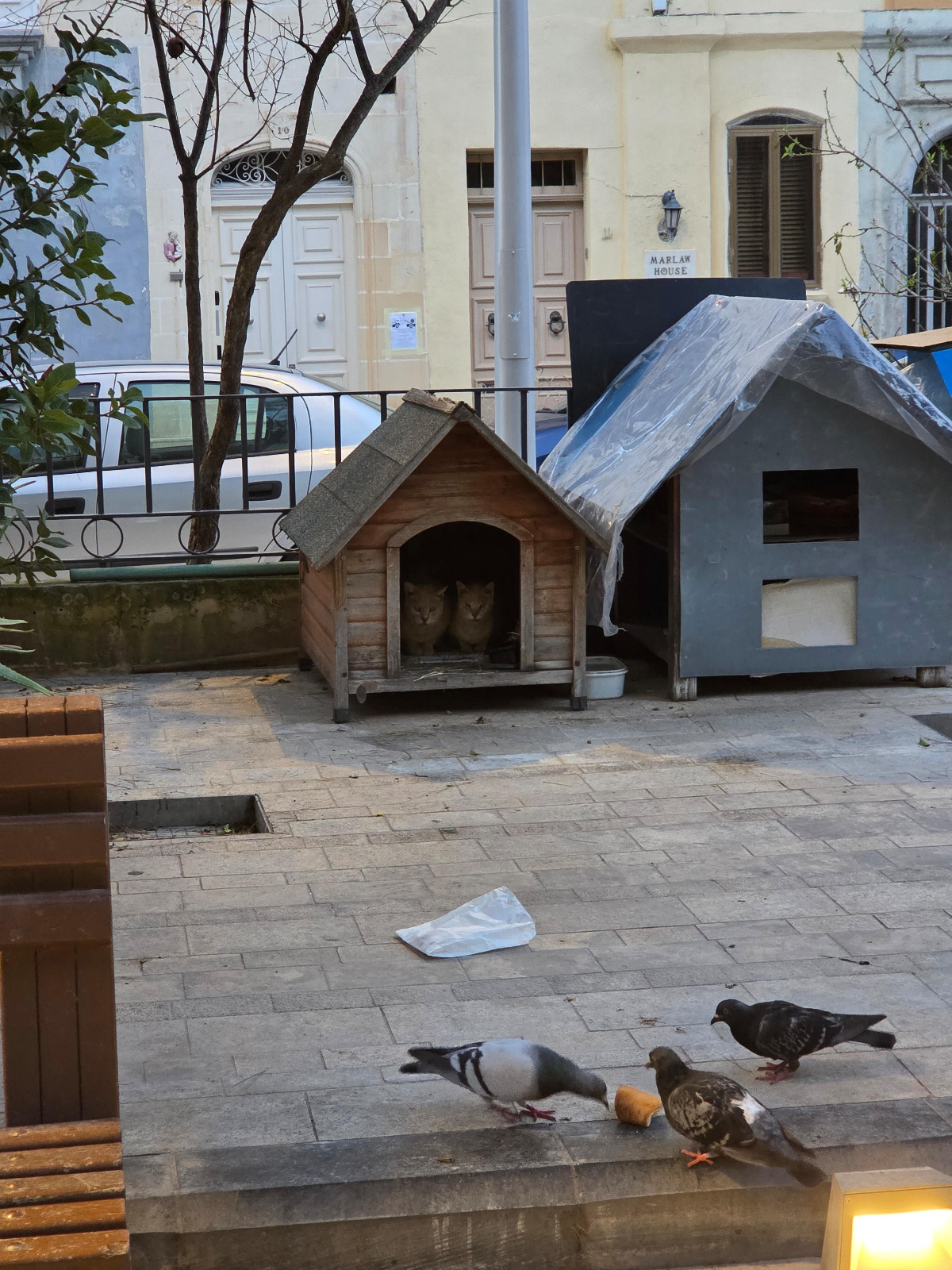 54739113-7726-4871-80fa-2120be5d4bb4