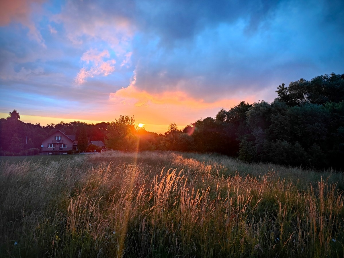 11afce5d-7fc4-46bf-96be-8d36f0274706