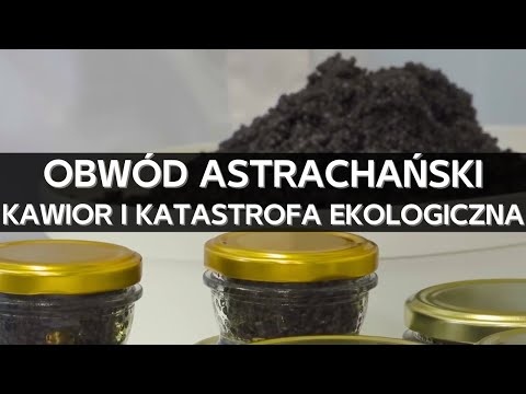 Astrachań - ubogie życie w stolicy czarnego kawioru. Jesiotry, kawior i katastrofa ekologiczna