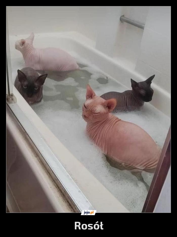 a77cc9bc-7e3c-4fb3-afd9-9c5baed73868