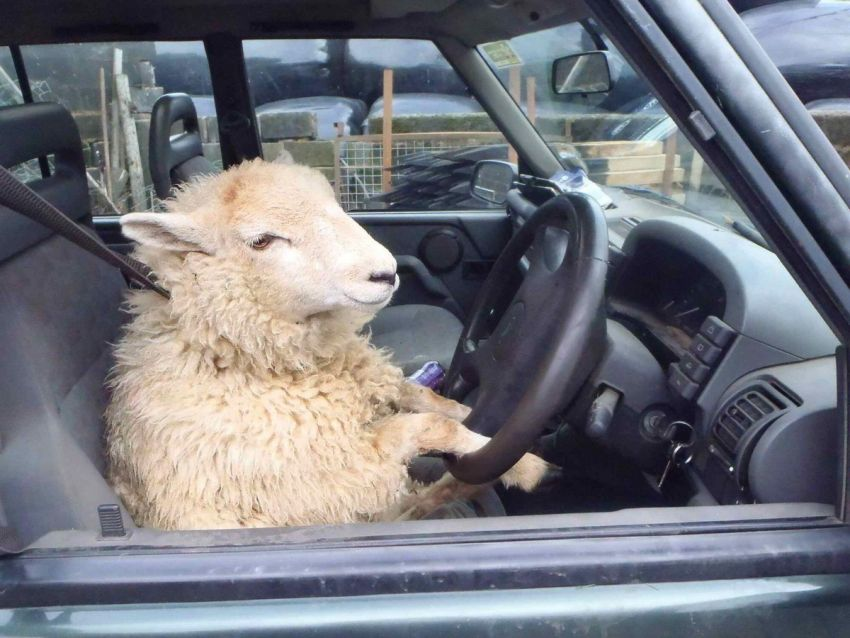 cdfa9379-802b-4ee2-b279-c7f76195a250