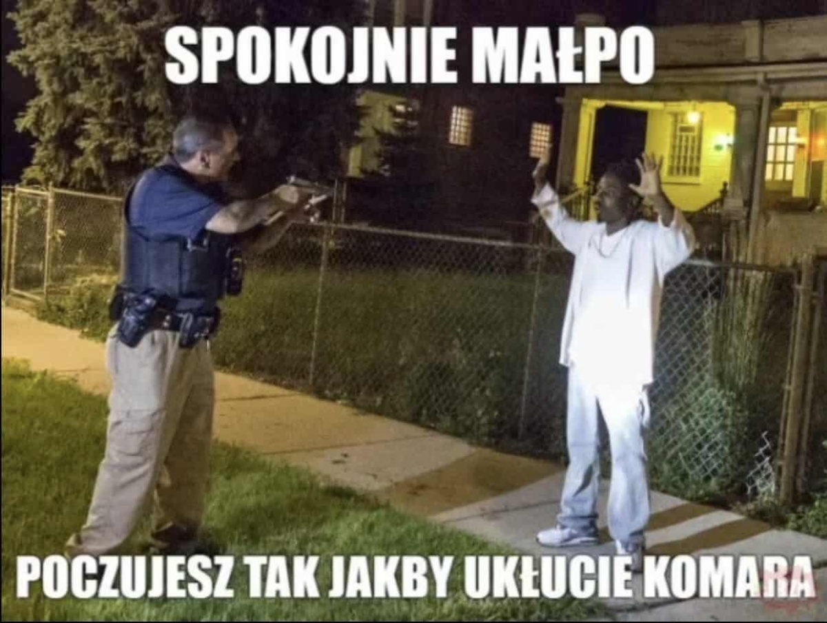 73dcb1e7-9590-411e-babe-b895bb59f061