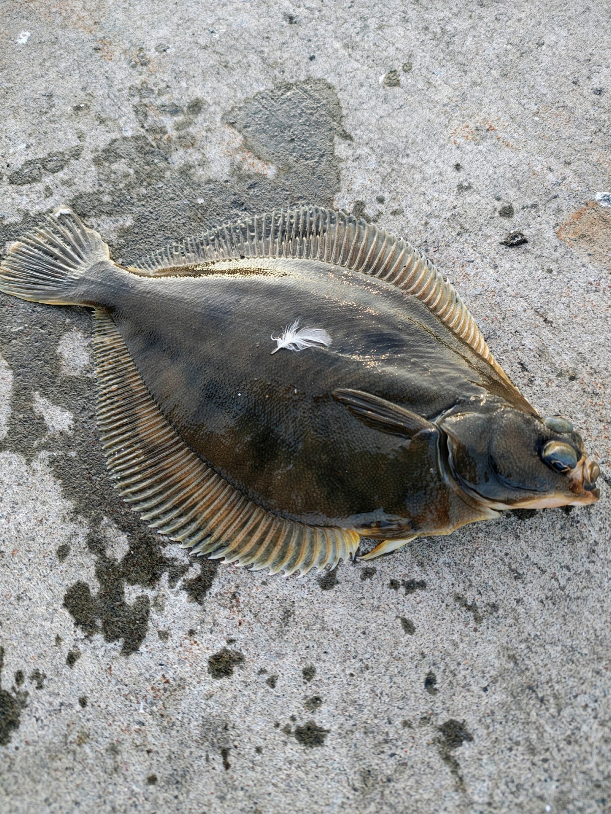 1fce07db-c6ad-4f7e-948b-cc91fa2c2568