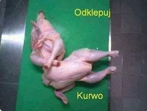 9d163662-fe5b-4430-bfef-93dcf9b58d17