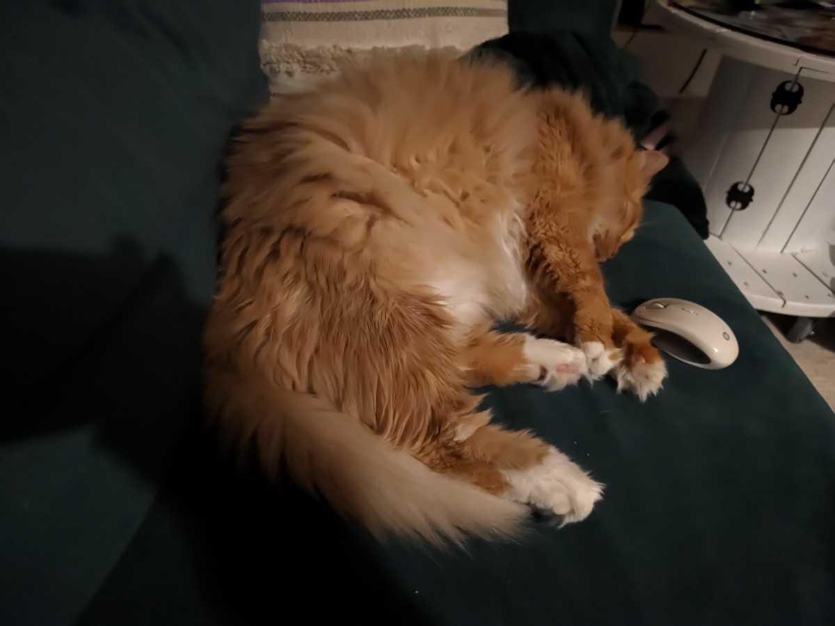 9df4b800-f6a6-4c25-a139-97ddfc38a423