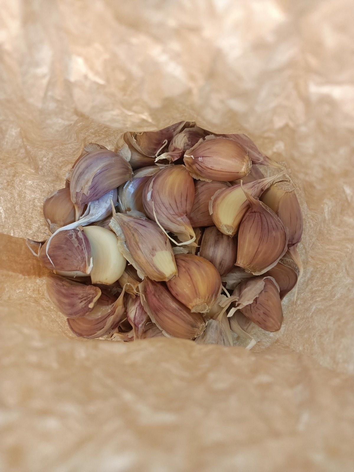 c6743f13-b7b9-46fc-b2eb-ebbbce8c989e