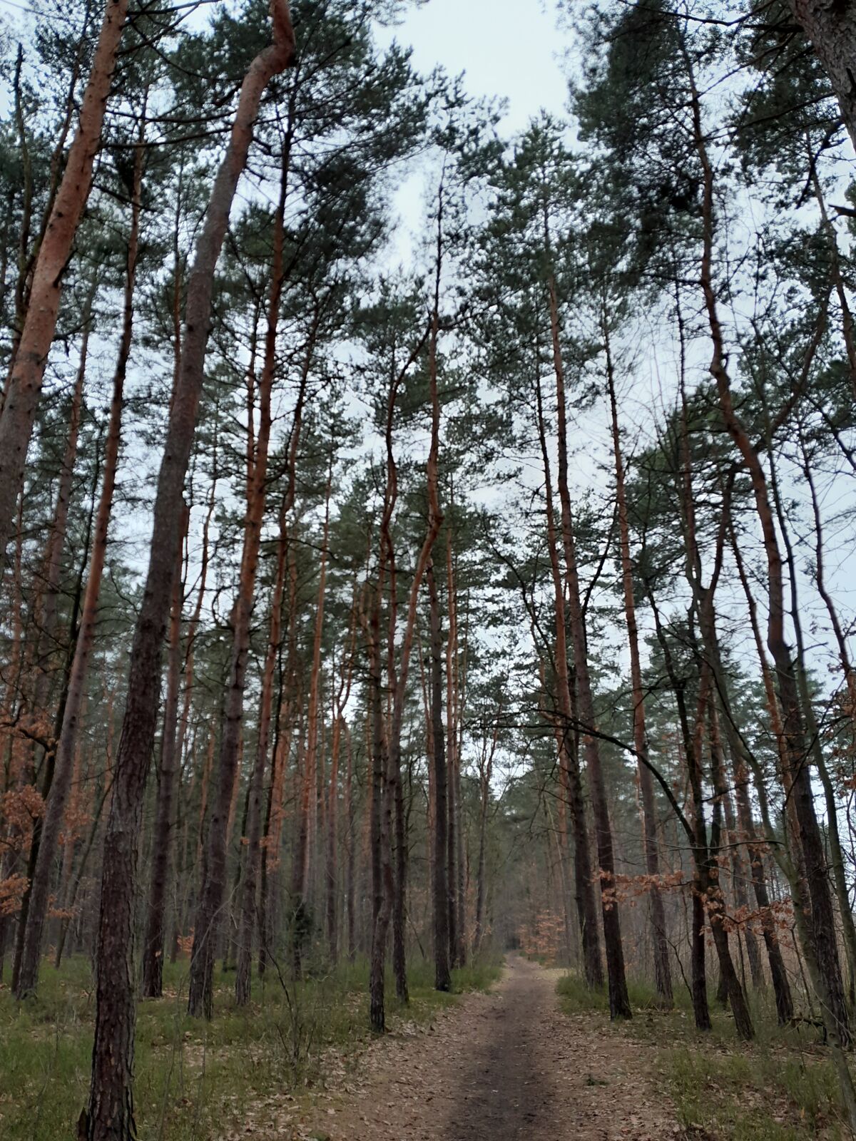 97957b32-1b41-4335-83a7-d56e082ff016