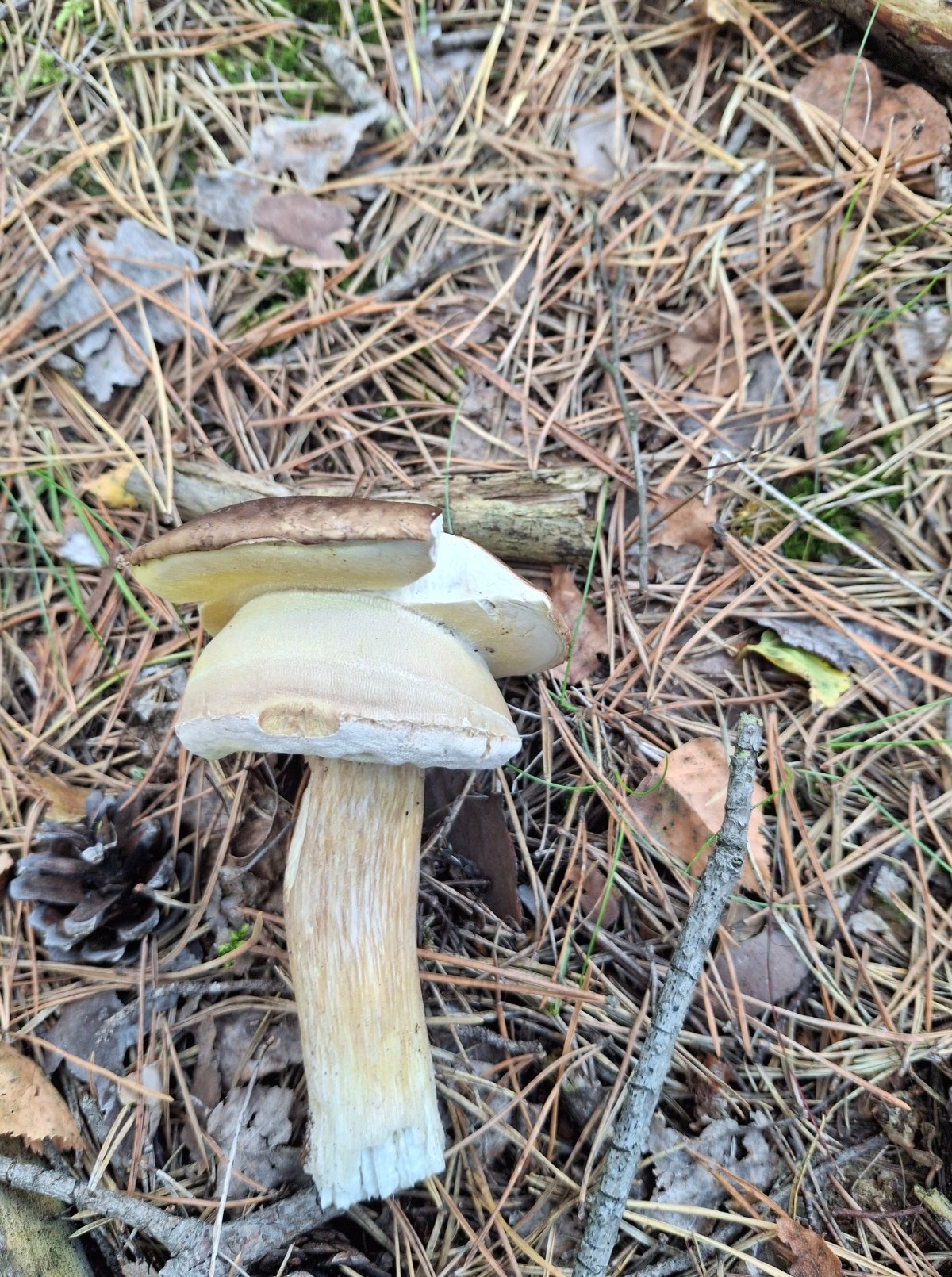 e64888e5-3d89-4800-ad6a-d72486cd39a0