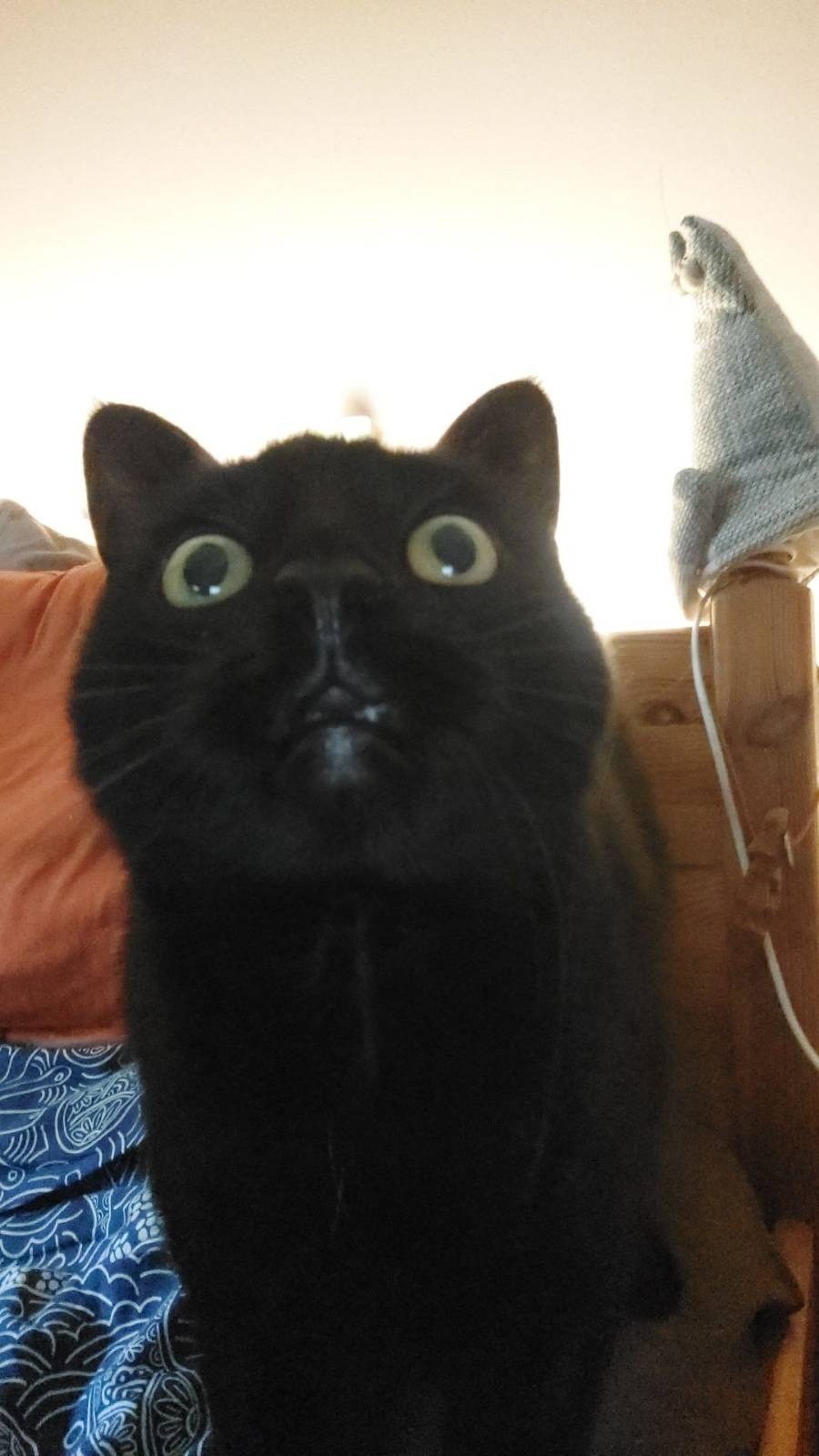 ec7bdc3f-e63a-4dcc-b905-91046afff147