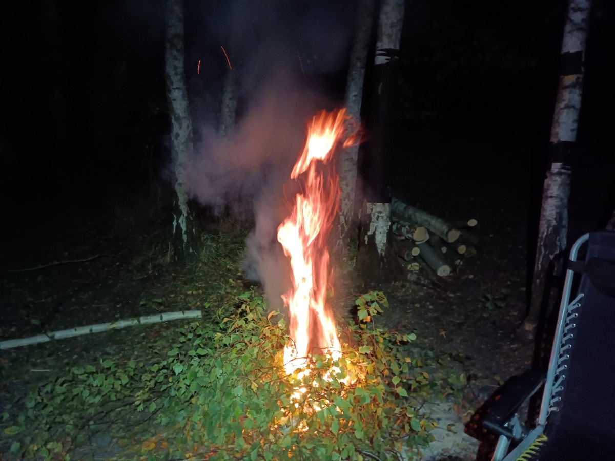 8a7d8d50-1977-424f-b876-7ea5d648b096