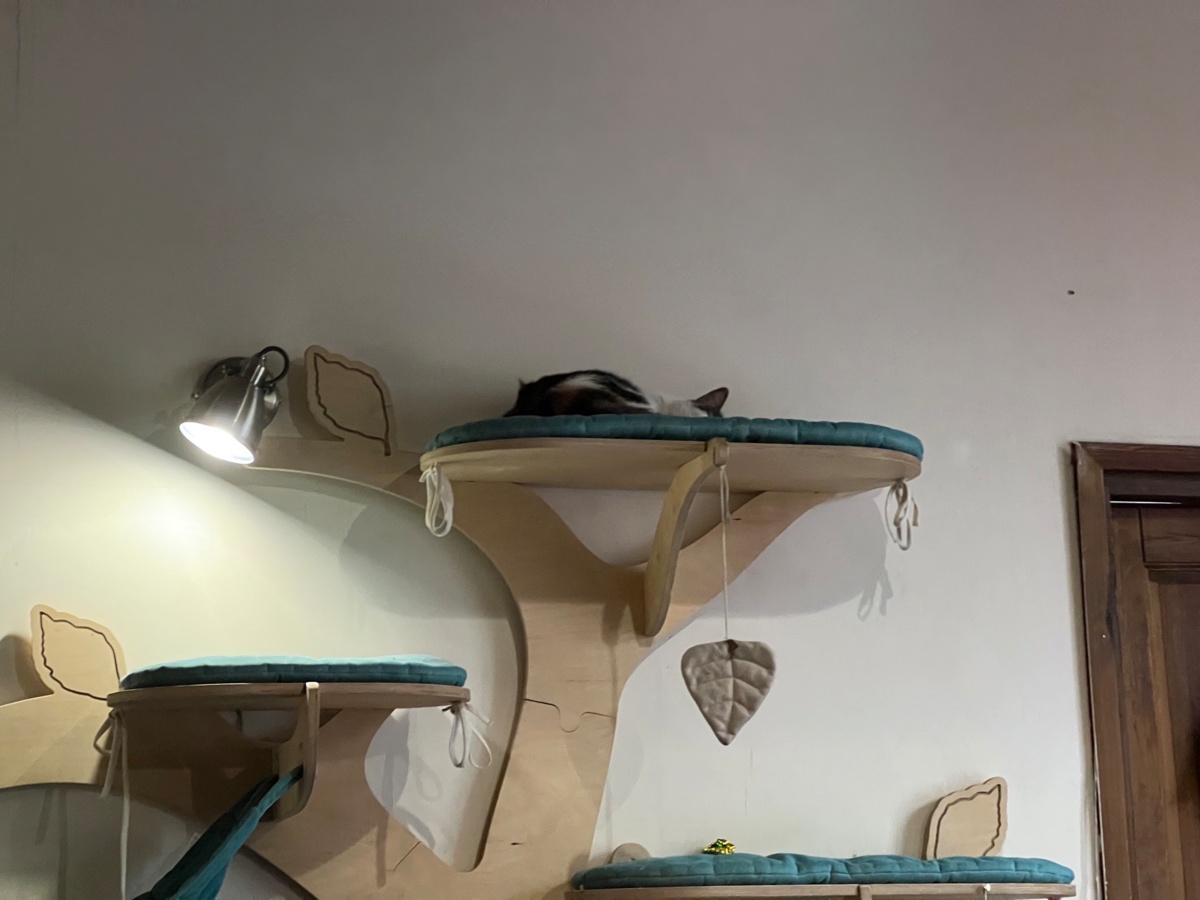 1551108a-8ad0-4d02-93e0-ff08b5266cae